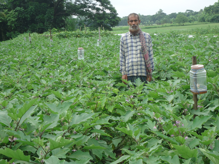 কৃষি ও প্রাণিসম্পদ