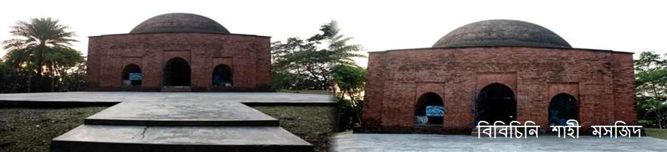 বিবিচিনি শাহী মসজিদ