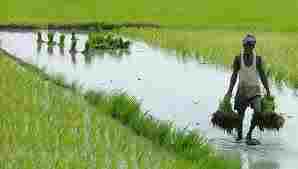 ফটো গ্যালারী