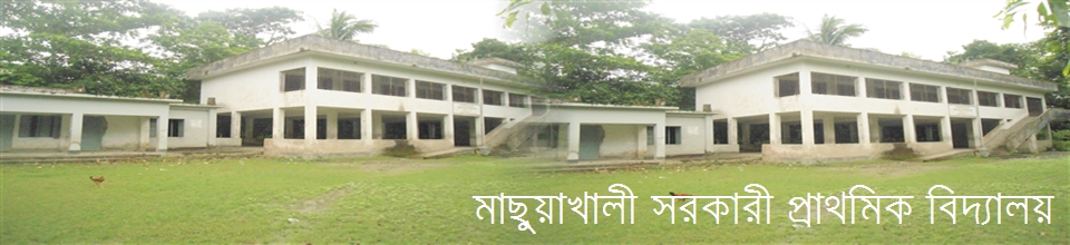 বেতাগী সানকিপুর ইউনিয়ন