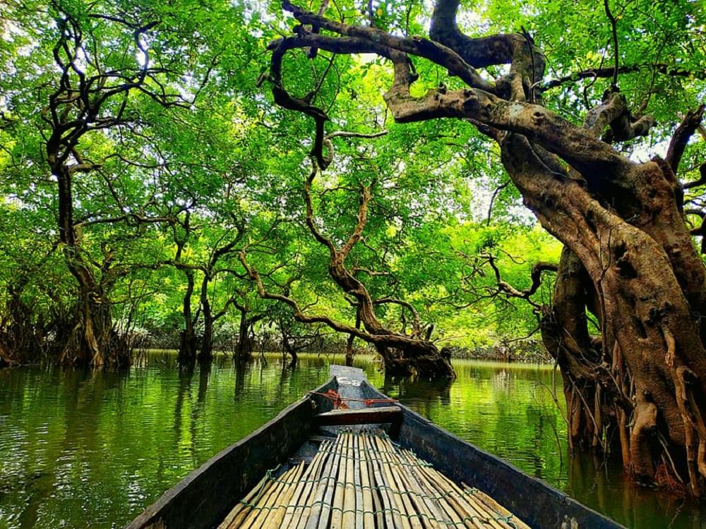 রাতারগুল