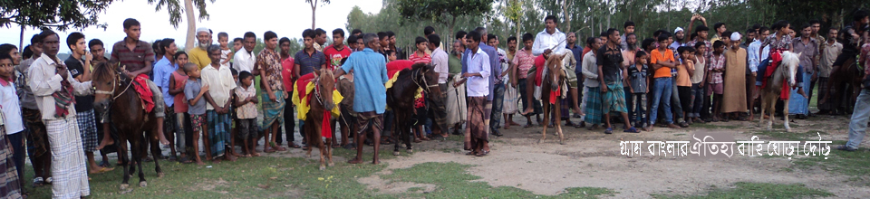 ঘোড়া দৌড়