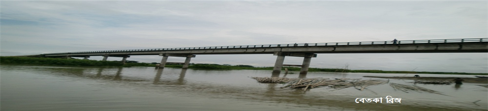 বেতকা ব্রিজ