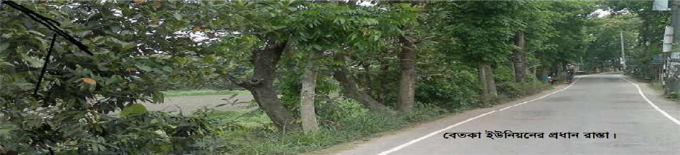 বেতকা ইউনিয়নের প্রধান রাস্তা