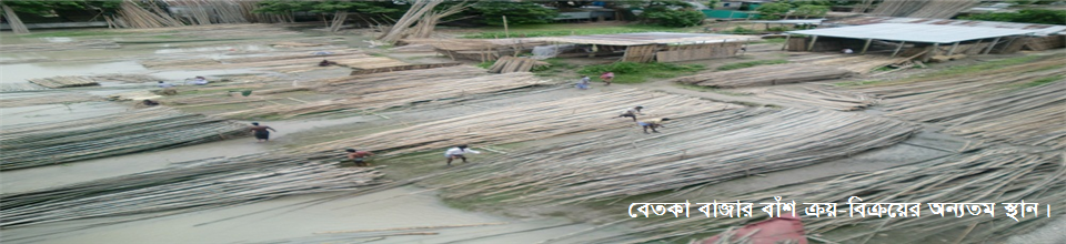 বেতকা বাজার বাঁশ কেনা-বেচার অন্যতম স্থান।
