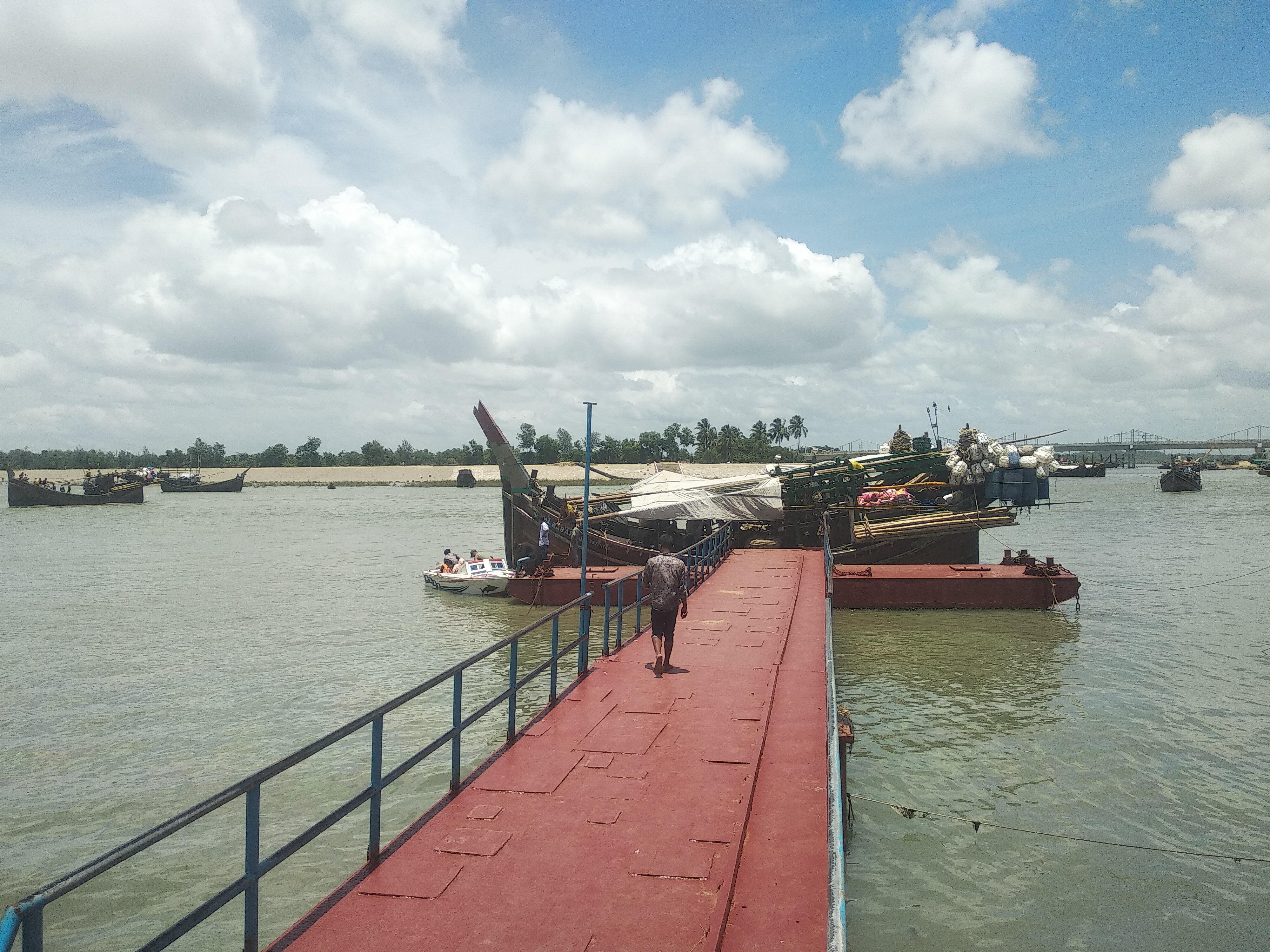 বিএফডিসি পন্টুন