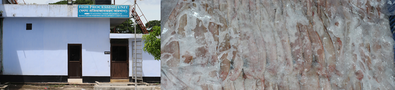 চট্টগ্রাম মৎস্য বন্দর3