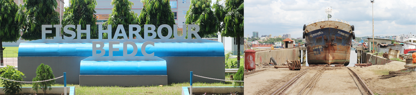 চট্টগ্রাম মৎস্য বন্দর4