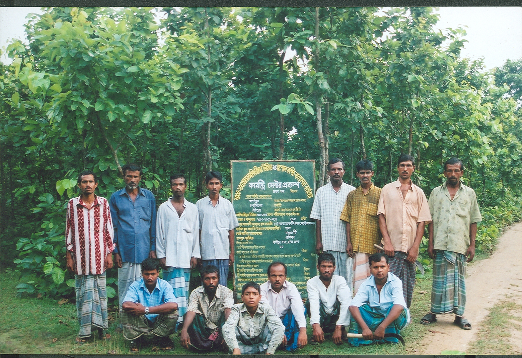 সামাজিক বনায়ন