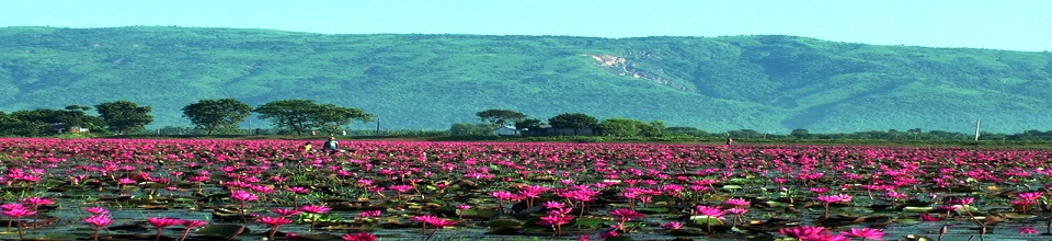 প্রকৃতি