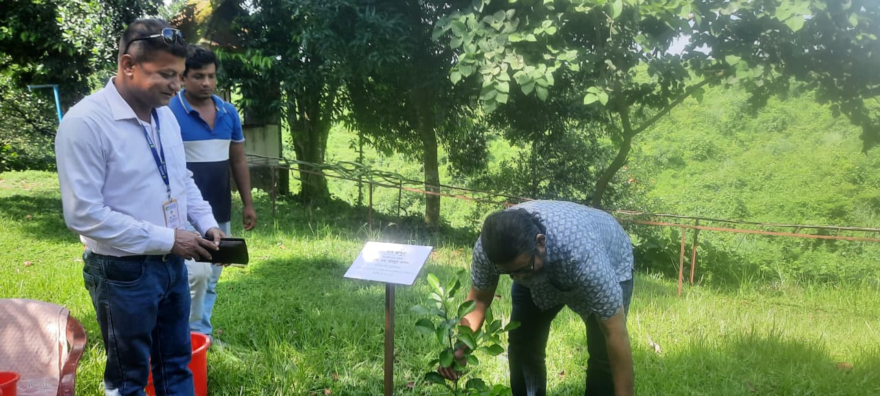 পেট্রোবাংলার পরিচালক (প্রশাসন) জনাব এস. এম. মাহবুব আলম মহোদয় ০৭-০৯-২০২৫ তারিখ রোজ: রবিবার হবিগঞ্জ গ্যাস ফিল্ড সরেজমিন পরিদর্শন করেন। পরিদর্শনকালে উপমহাব্যবস্থাপক হবিগঞ্জ ও সংশ্লিষ্ট কর্মকর্তাগণ উপস্থিত ছিলেন।