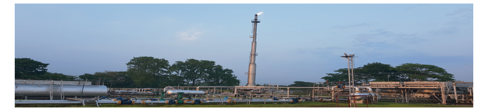 ফ্লেয়ার লাইন