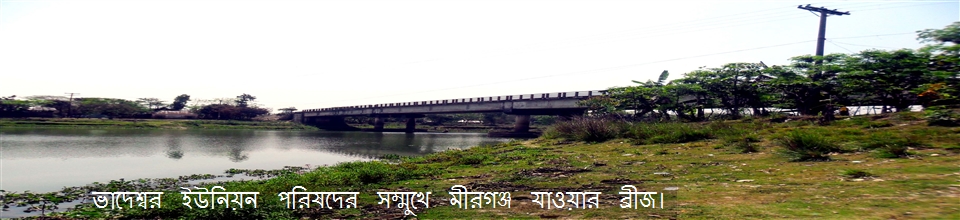 ইউপির সম্মুখের ব্রীজ