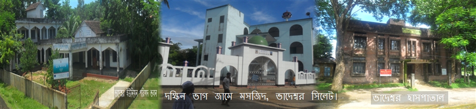 ভাদেশ্বর ই/পি, ভাদেশ্বর জামে মসজিদ, ও হাসপাতাল