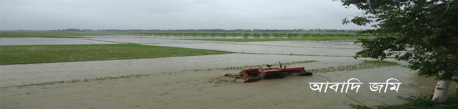 জমিতে ট্রাকটরের চাষ
