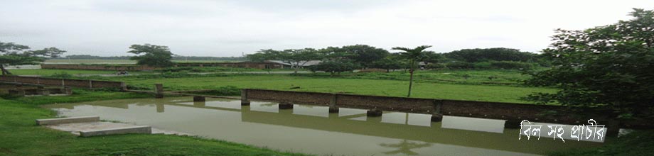 গ্রাম্য দৃশ্য