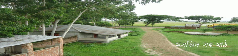 গ্রাম্য দৃশ্য