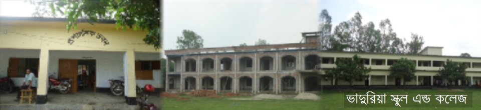 ভাদুরিয়া স্কুল এন্ড কলেজ