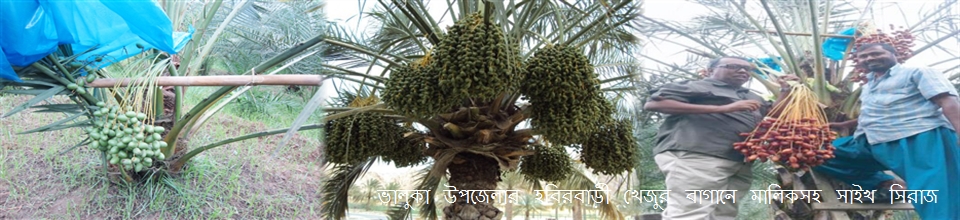 ভালুকা উপজেলার হবিরবাড়ী খেজুর বাগানে মালিকসহ সাইখ সিরাজ