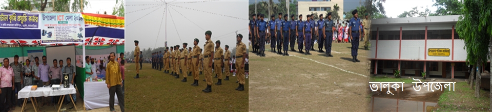 উপজেলা পরিষদ ভবন, ভালুকা