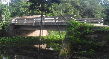 স্থানীয় সরকার প্রকৌশল