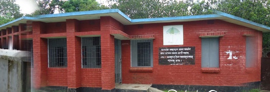 ফটো গ্যালারী 