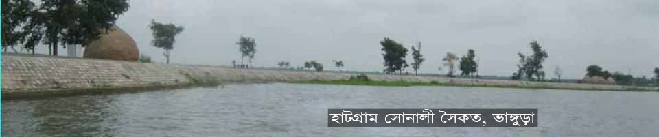 হাট গ্রাম, ভাঙ্গুড়া