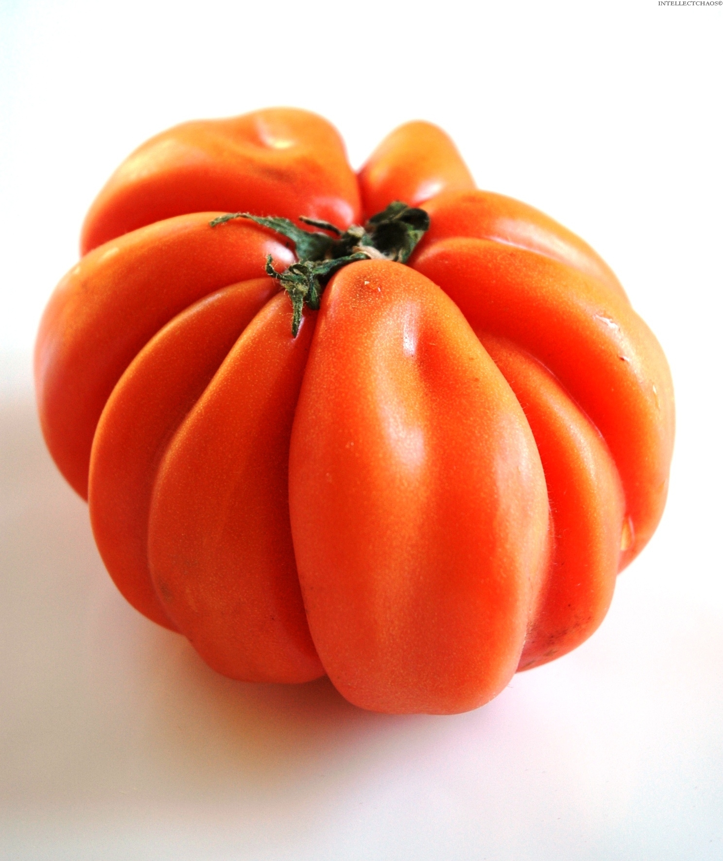 ফটোগ্যালারী