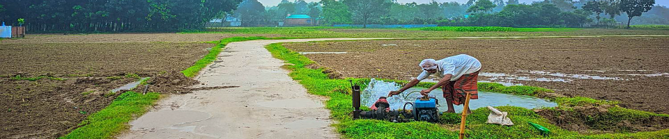 পানি সেচ
