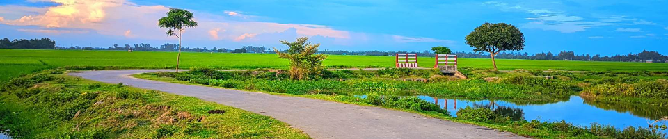 বিজিবি ক্যাম্প রাস্তা