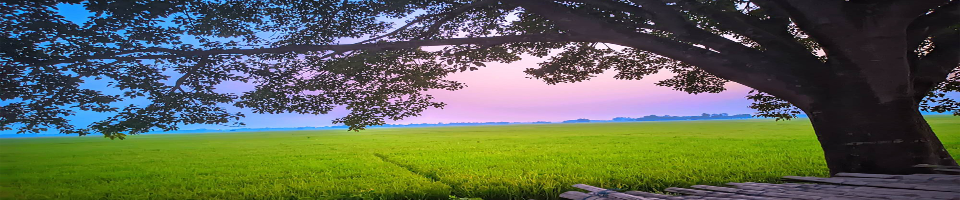 বান্ধা দিঘী