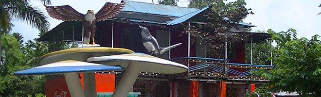পিকনিক স্পট