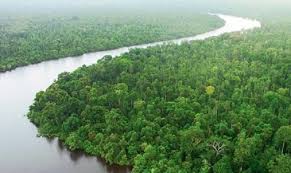 সুন্দরবন