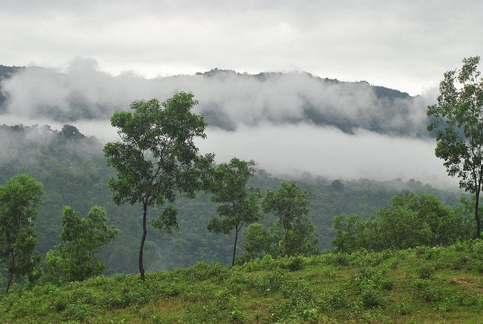 সিলেটের নয়নাভিরাম পাহাড়