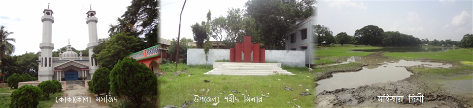 ভেদরগঞ্জ উপজেলার দর্শনিয় স্থান