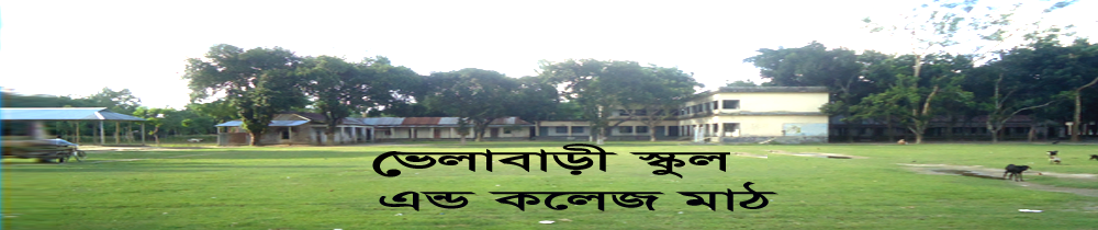 ভেলাবাড়ী ইউনিয়ন পরিষদ