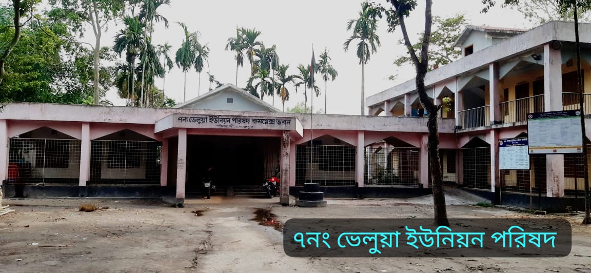 ৭নং ভেলুয়া ইউনিয়ন পরিষদ