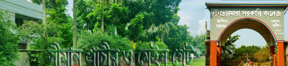 কলেজ গেট