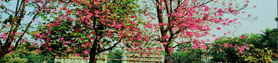 কলেজ বাগান