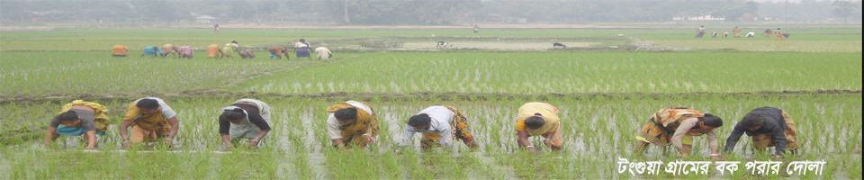 ২নং ভেড়ভেড়ী ইউনিয়ন