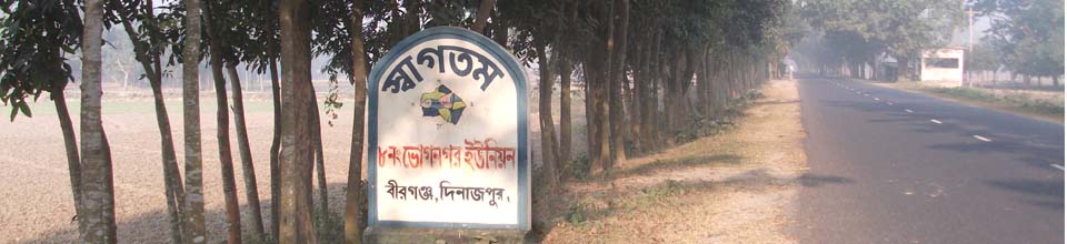 বিশ্ব রোর্ড