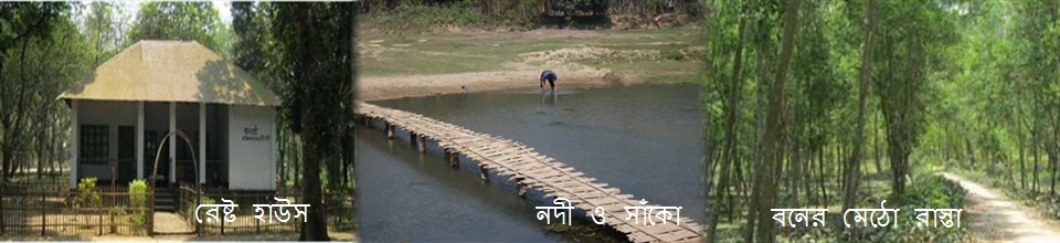““সিংড়া জাতীয় উদ্যান”-এক বর্নময় সবুজের হাতছানি