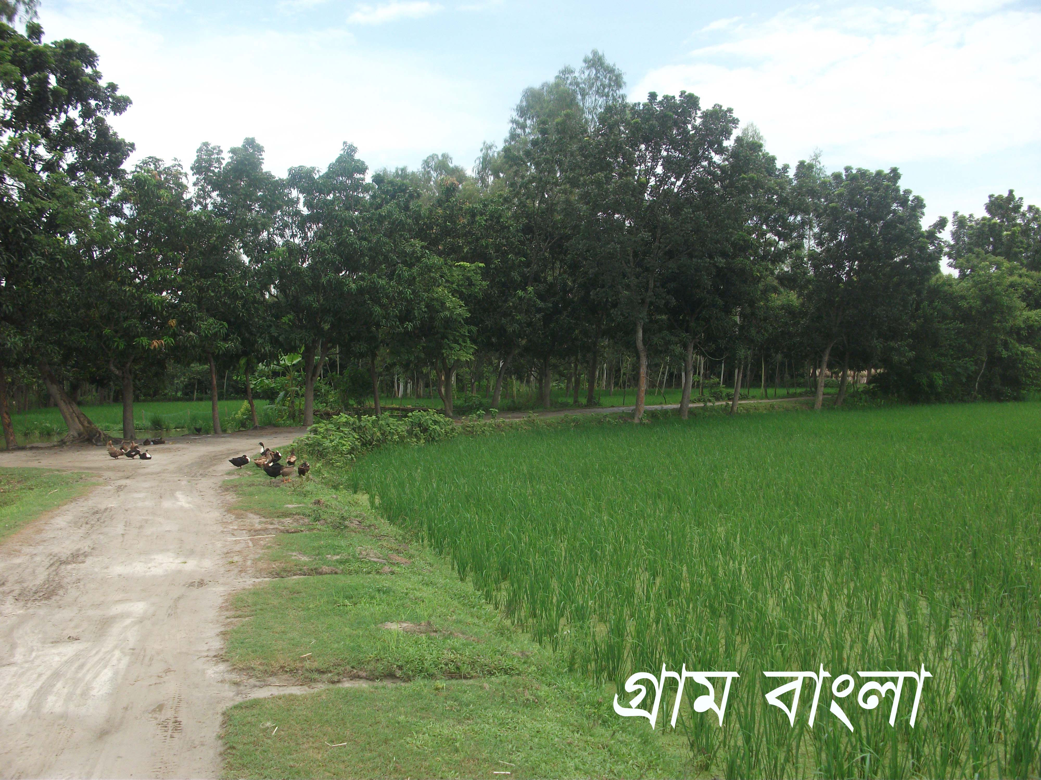 গ্রাম বাংলা
