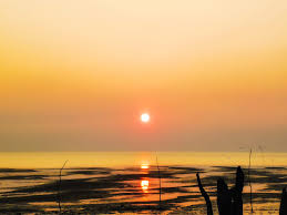 মনোমুগ্ধকর ঢালচর