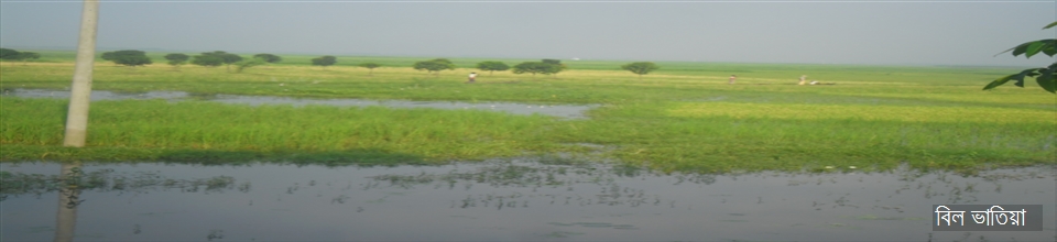 বিল ভাতিয়া