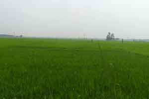 ফটোগ্যালারী