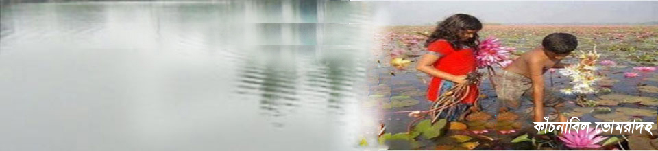 কাঁচনাবিল ভোমরাদহ