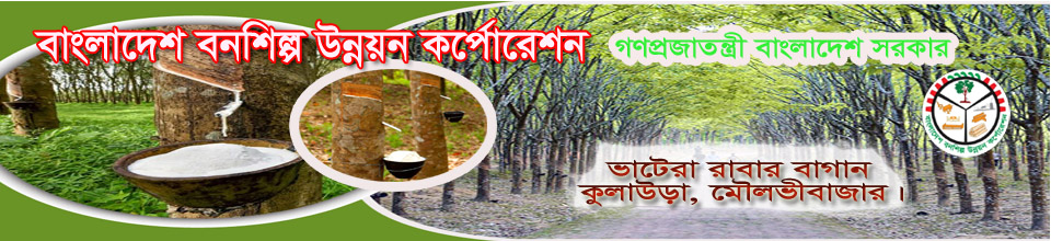 বিএফআইডিসি, ভাটেরা রাবার বাগান