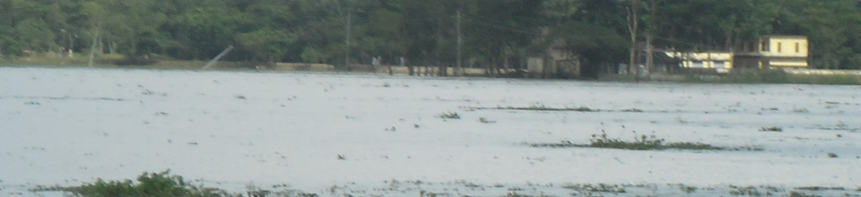 ২নং ভূকশিমইল ইউনিয়ন পরিষদ