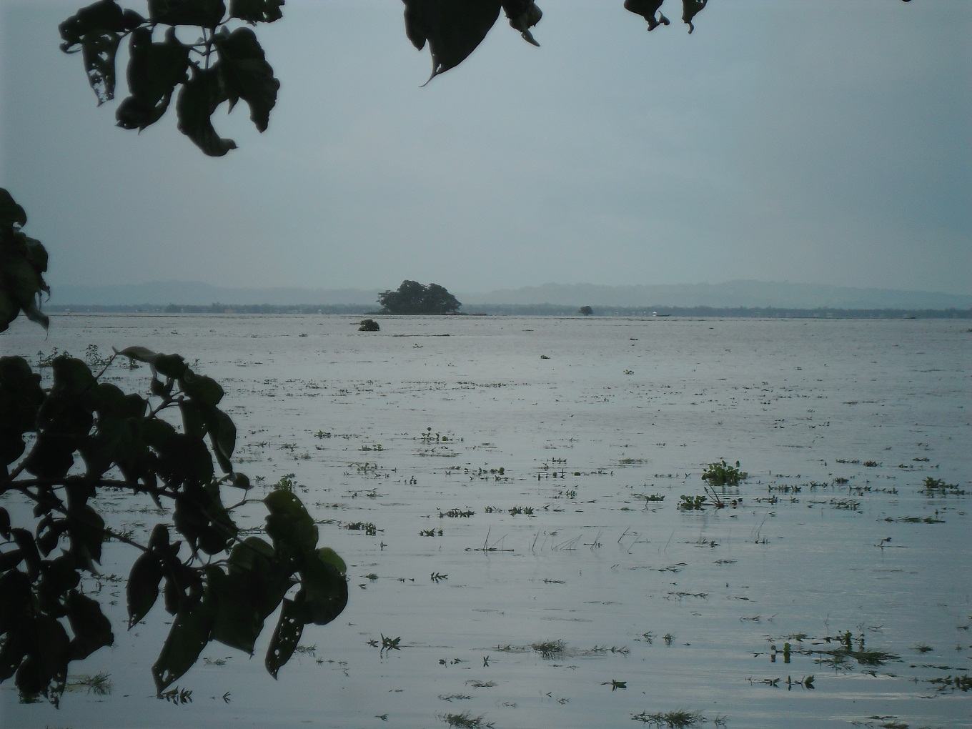 ২নং ভূকশিমইল ইউনিয়ন পরিষদ